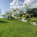 Alpenhof Hotel 4*