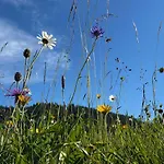 Hotel Alpenhof 4*
