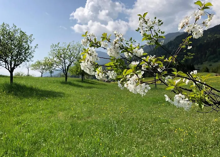 Alpenhof Hotel 4*