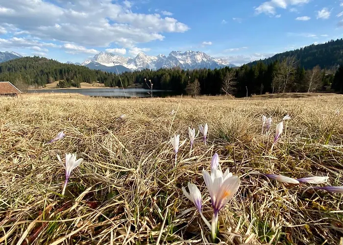 Alpenhof 4* Krün