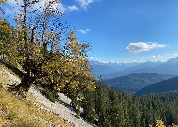Alpenhof Hotel 4*