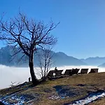 ホテル Alpenhof 4*