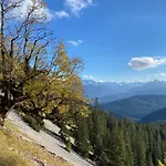 Alpenhof ホテル 4*