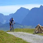 ホテル Alpenhof