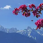 Alpenhof 4*