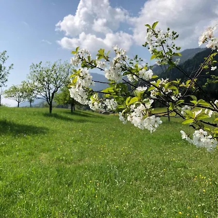 Alpenhof Otel 4*