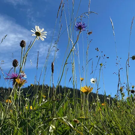 Otel Alpenhof 4*