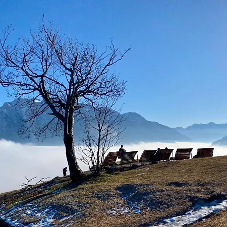 Otel Alpenhof 4*