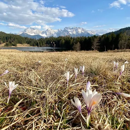 Alpenhof 4* Krün