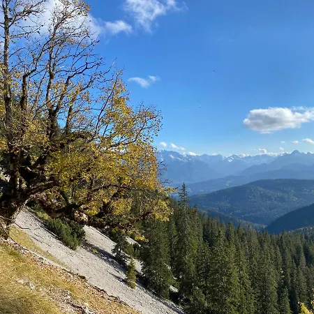 Alpenhof Otel 4*