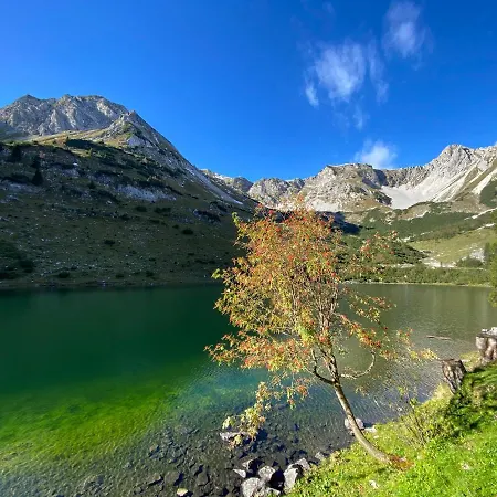 Alpenhof 4*