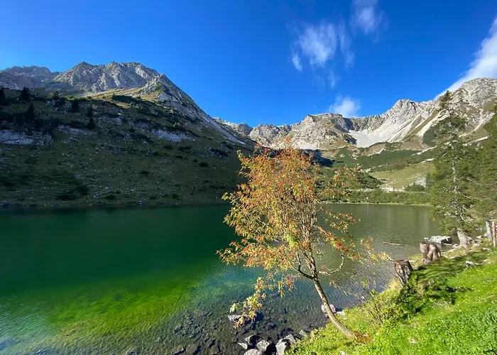 Alpenhof 4*